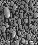 星空官方網頁版